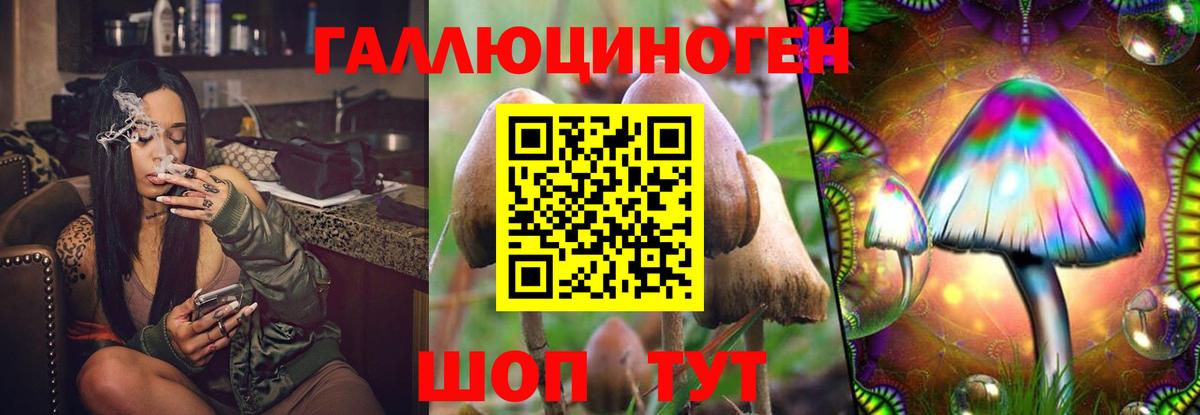 Псилоцибиновые грибы Cubensis  Вход с VPN  Псилоцибиновые грибы ЛСД  Рославль 